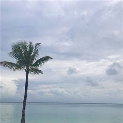 恶魔之翼变态版下载